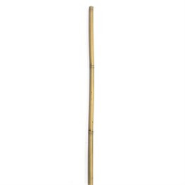 CANNE BAMBOO - H CM 210 - Ø MM 20/22